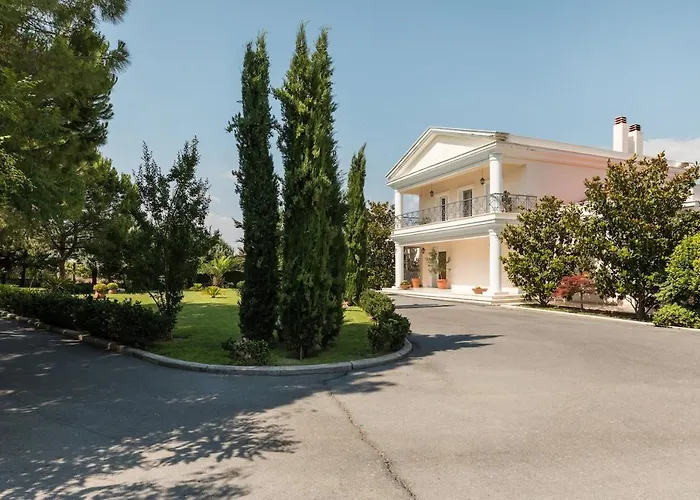 Elena Villa *
