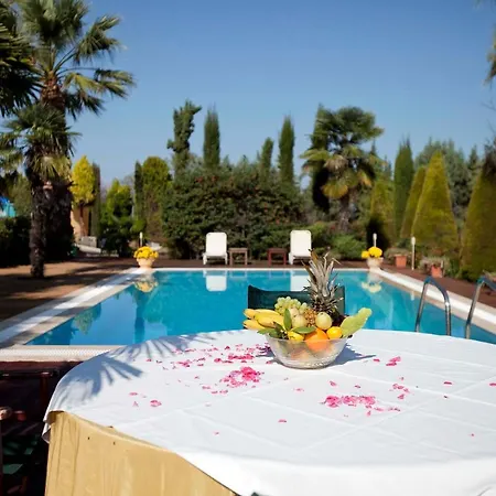 别墅 埃琳娜别墅 *