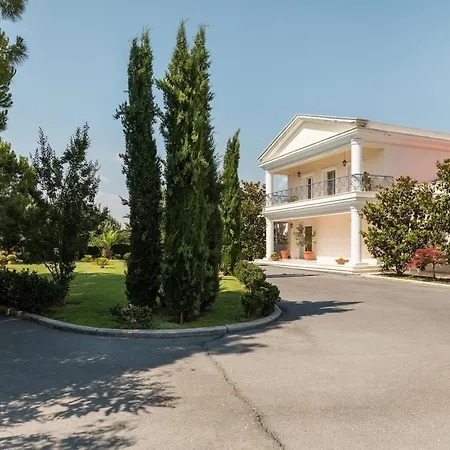 Elena Villa *