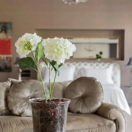 Elena Villa *