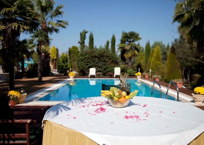 别墅 埃琳娜别墅 *