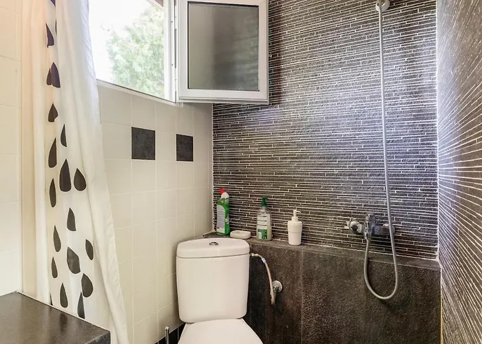 埃琳娜别墅 别墅