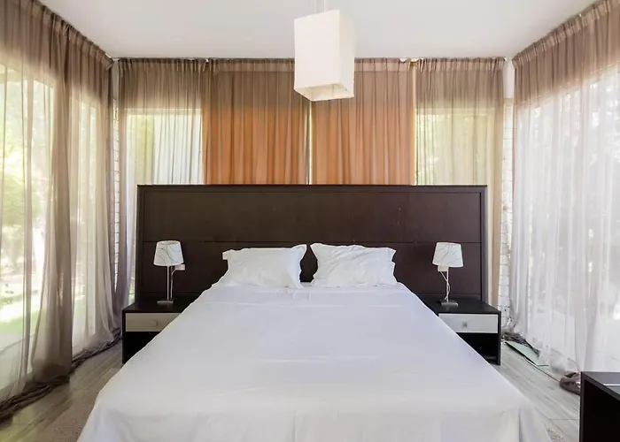 别墅 埃琳娜别墅 *