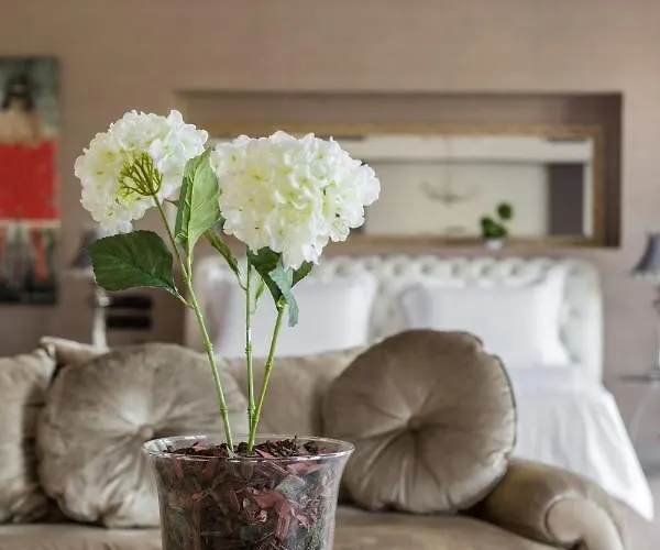 埃琳娜别墅 别墅 *