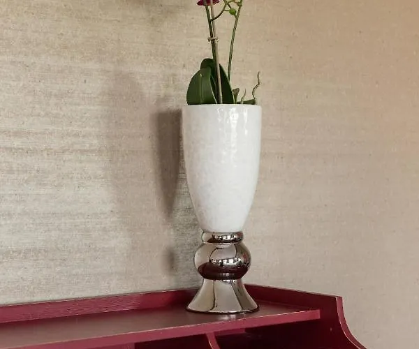 别墅 埃琳娜别墅 *