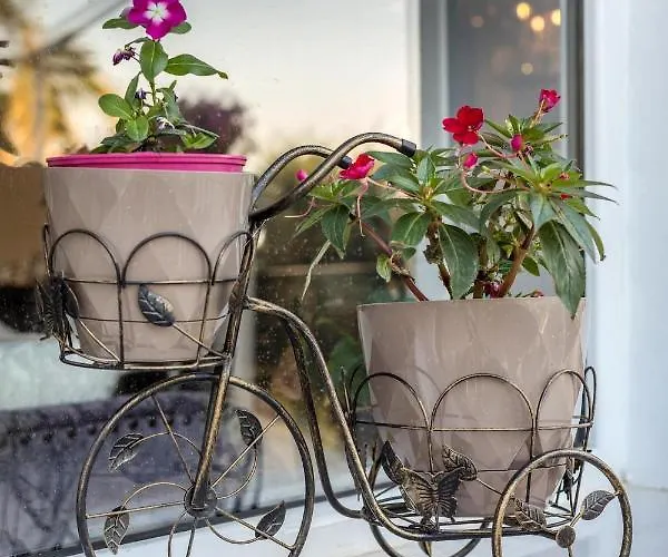 别墅 埃琳娜别墅 *